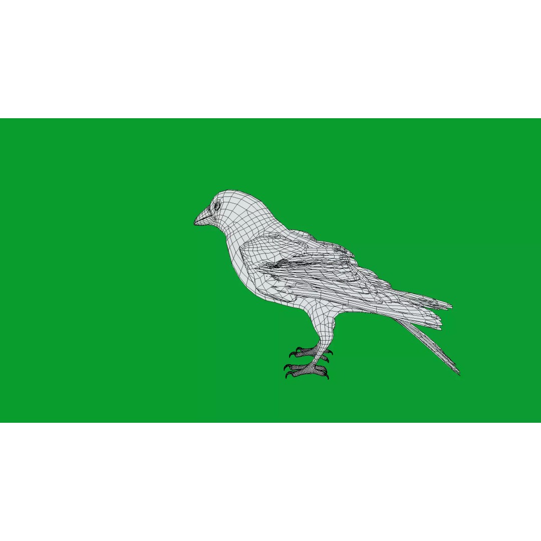 Eurasian Tree Sparrow 3D Model – Low Poly Animated Game Asset, FBX - View 11