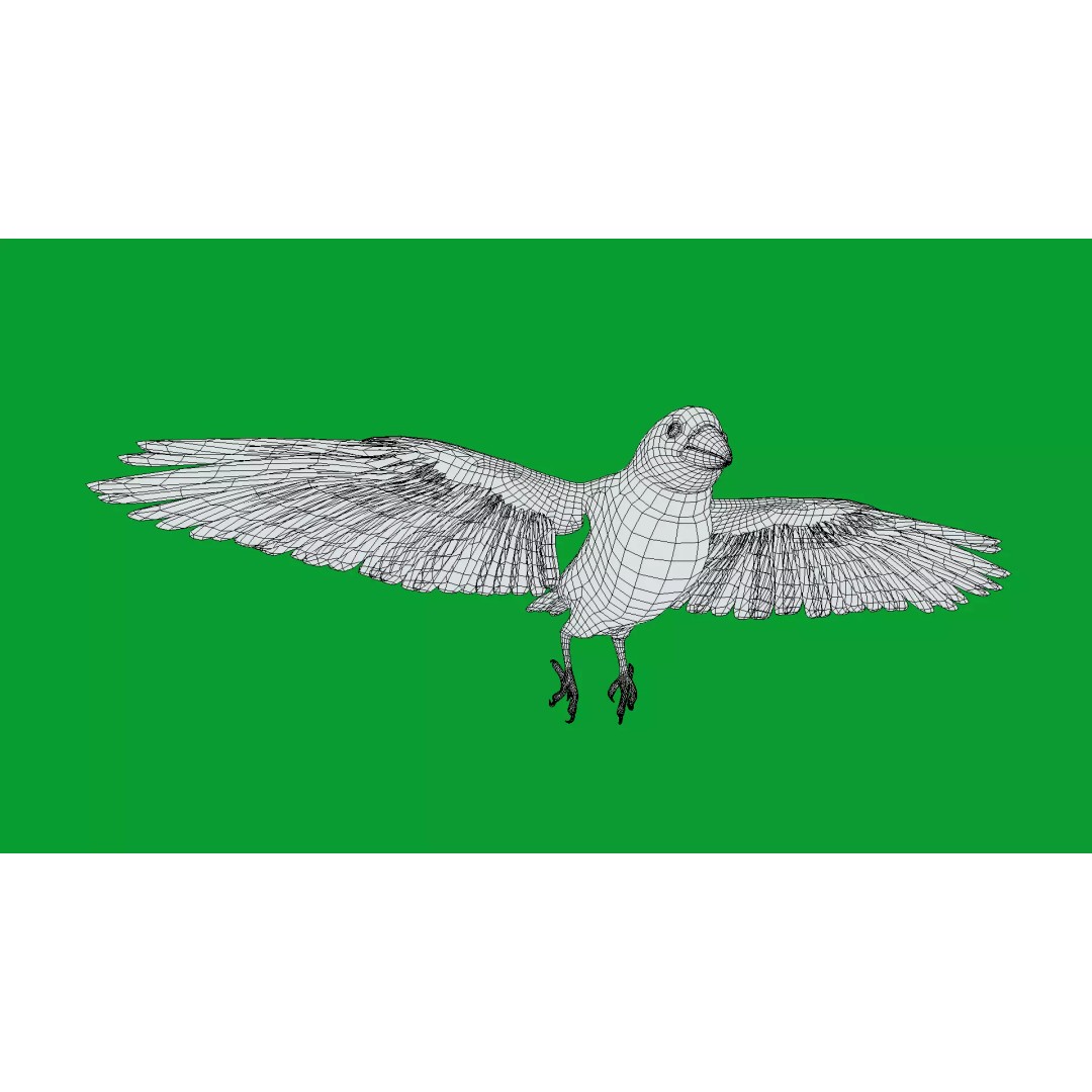 Eurasian Tree Sparrow 3D Model – Low Poly Animated Game Asset, FBX - View 13