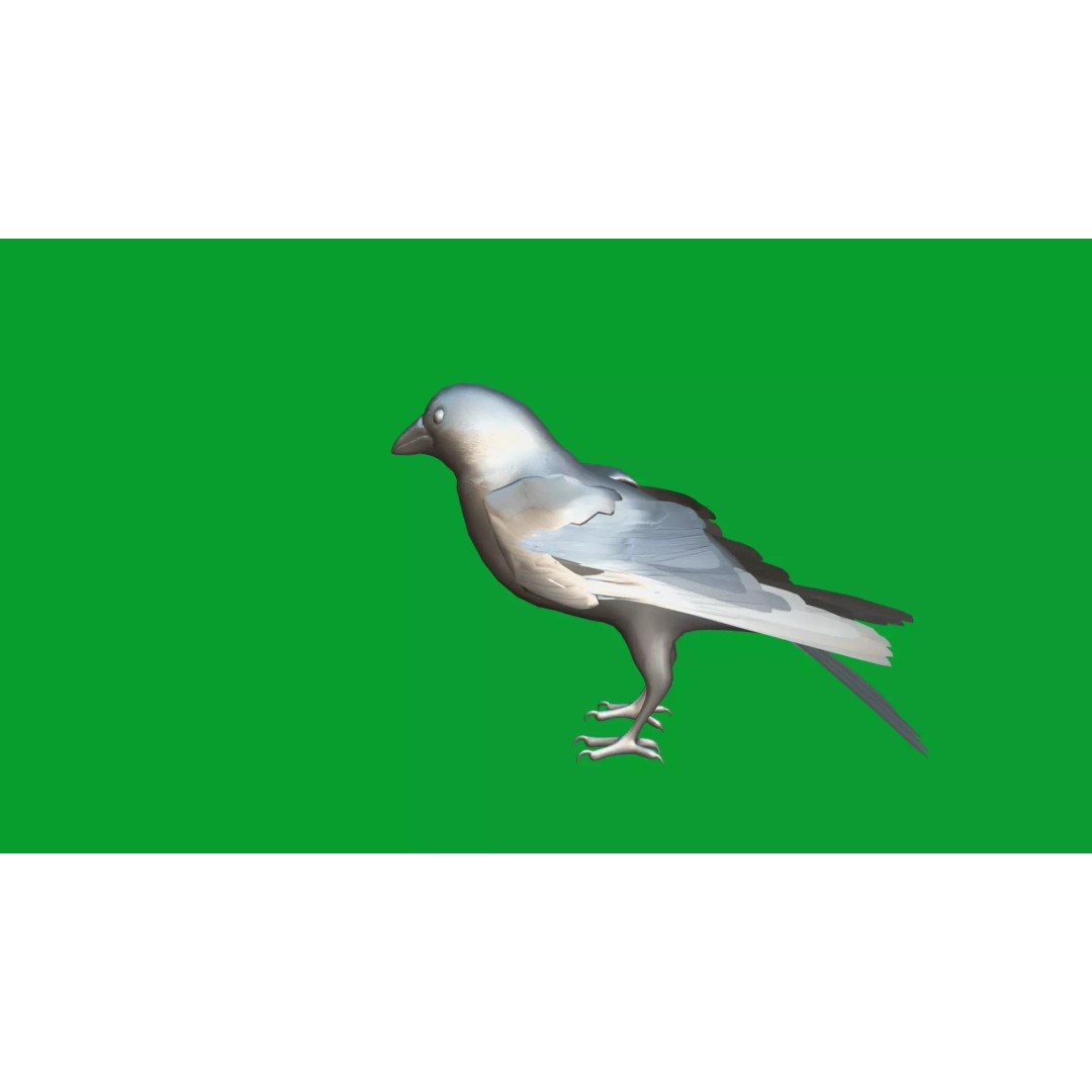 Eurasian Tree Sparrow 3D Model – Low Poly Animated Game Asset, FBX - View 34