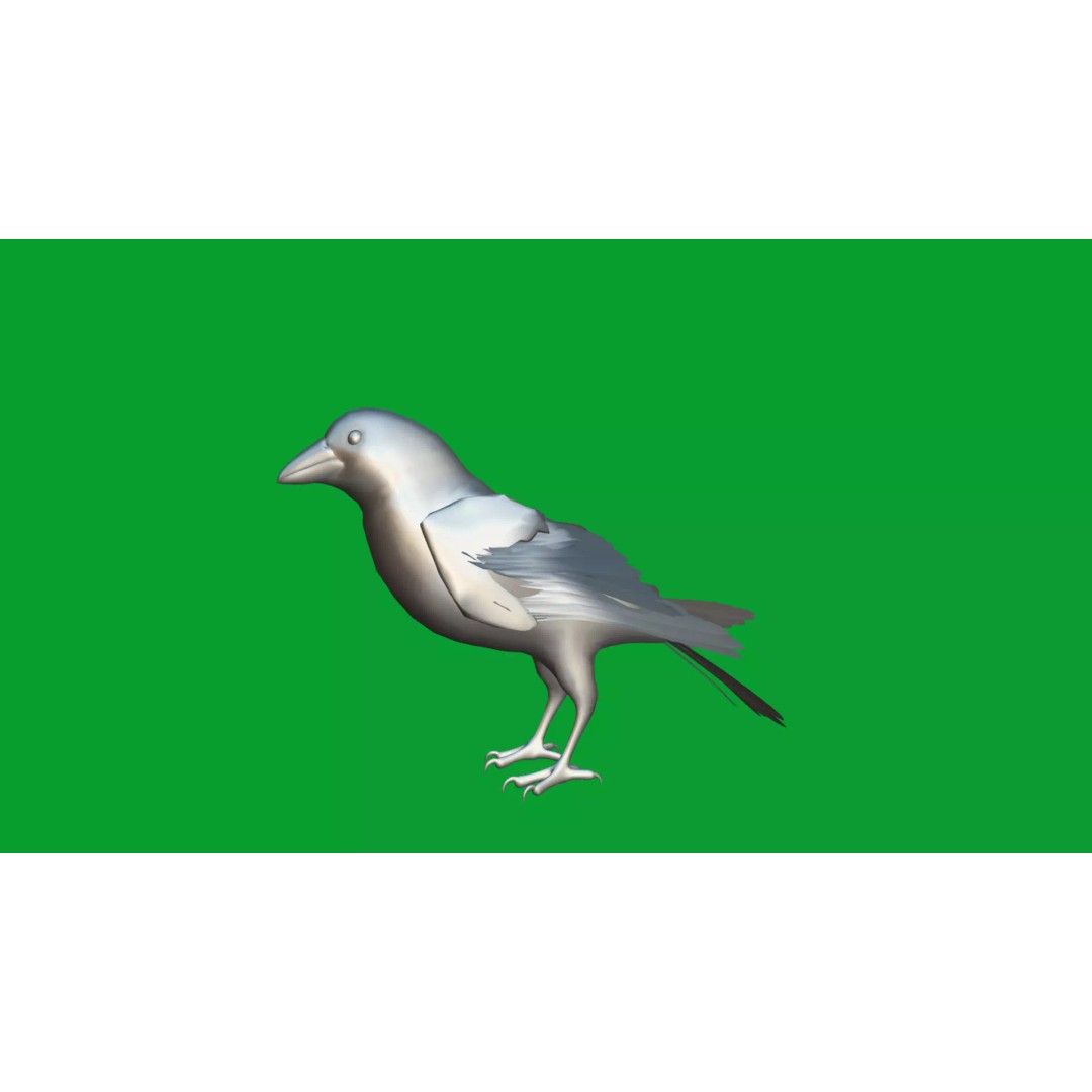 Eurasian Tree Sparrow 3D Model – Low Poly Animated Game Asset, FBX - View 37