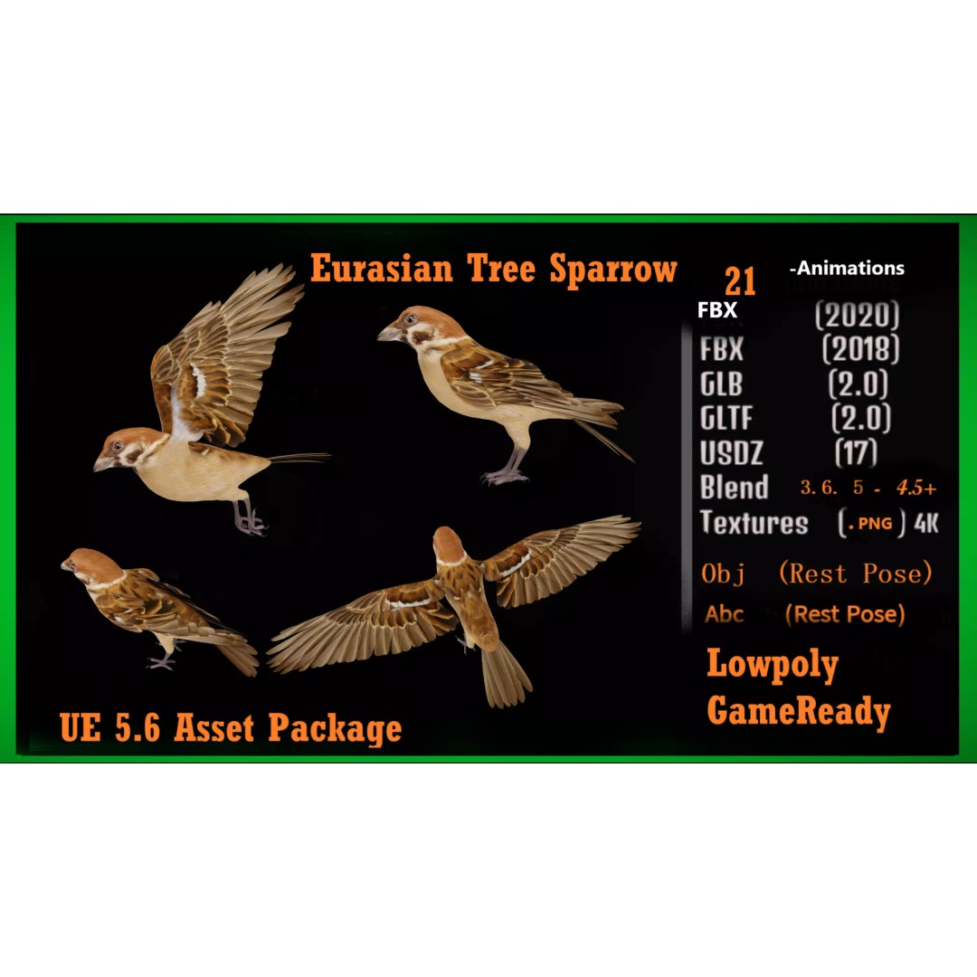 Eurasian Tree Sparrow 3D Model – Low Poly Animated Game Asset, FBX - View 4