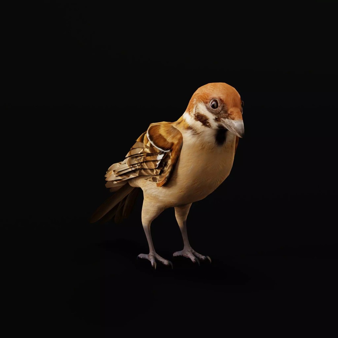 Eurasian Tree Sparrow 3D Model – Low Poly Animated Game Asset, FBX - View 46