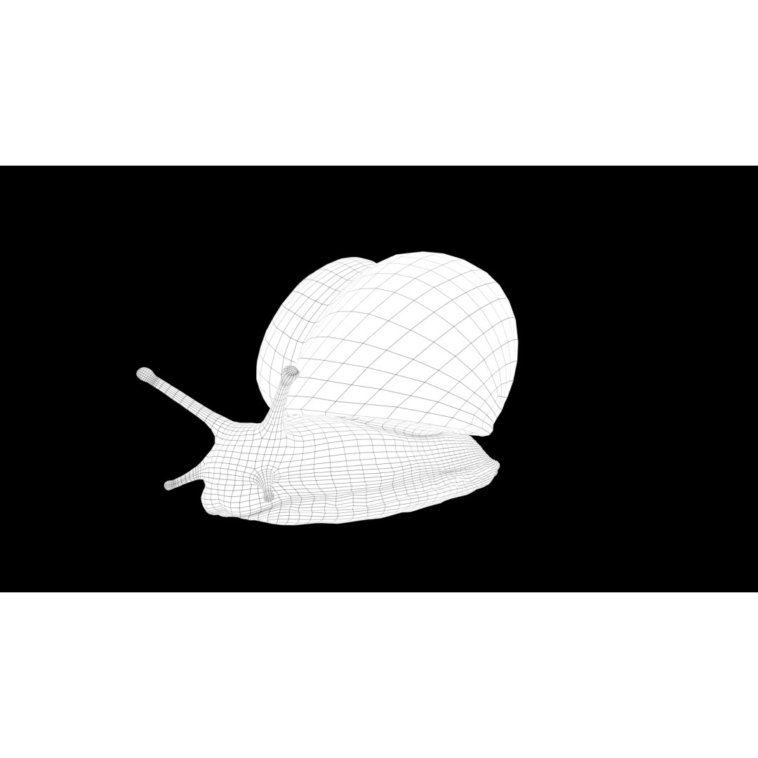 Realistic Snail 3D Model – Low Poly PBR Asset for VFX, FBX, Blender