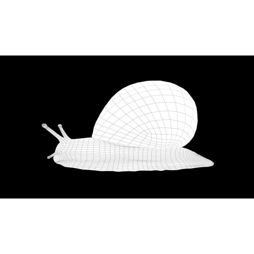 Realistic Snail 3D Model – Low Poly PBR Asset for VFX, FBX, Blender - View 5