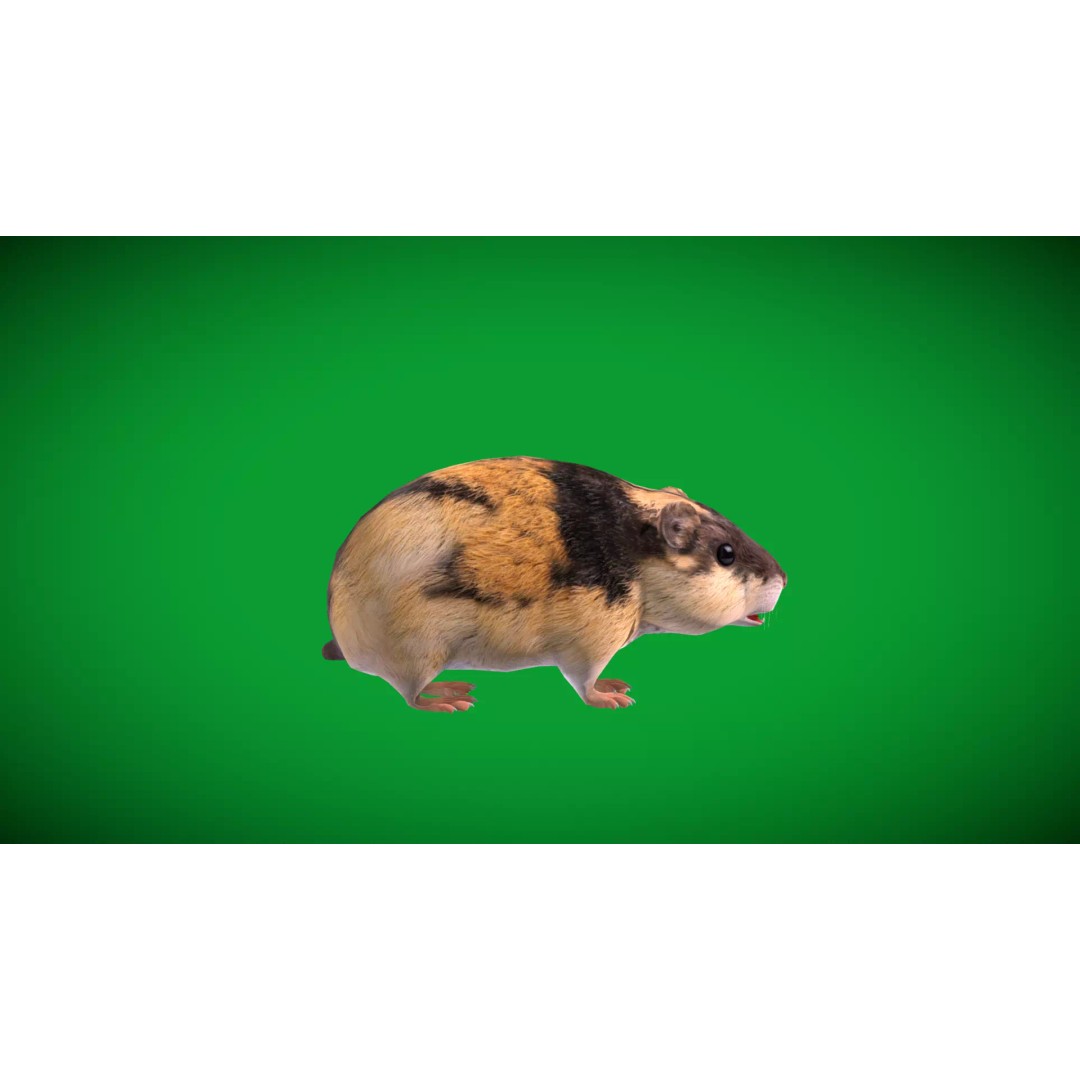 Lemming 3D Model – Low Poly Game Ready Rodent with Animations