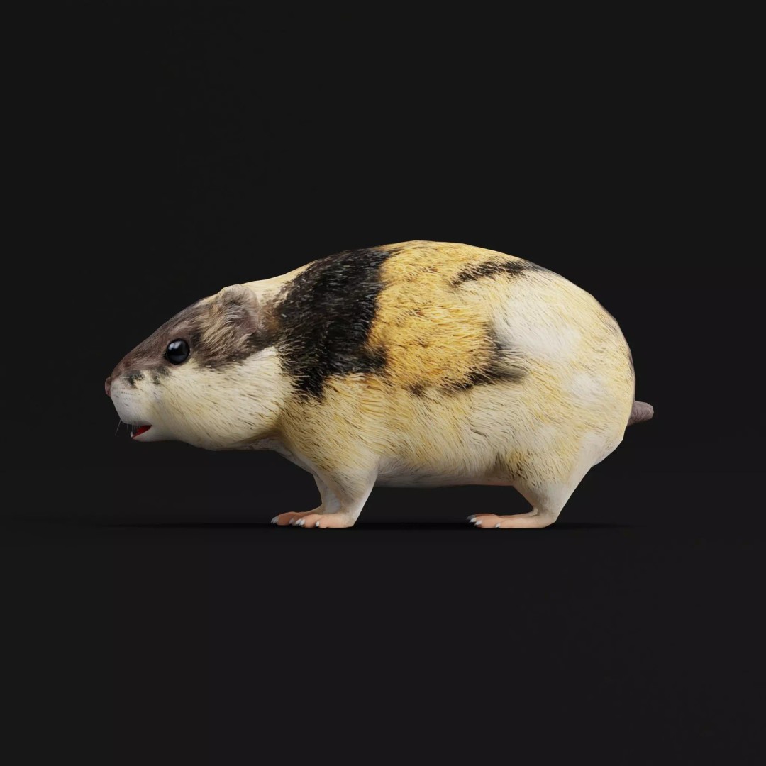 Lemming 3D Model – Low Poly Game Ready Rodent with Animations - View 11