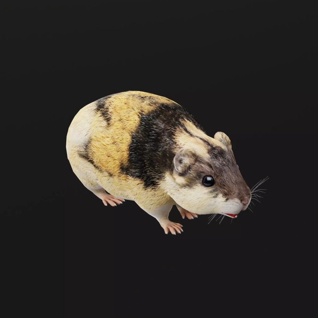 Lemming 3D Model – Low Poly Game Ready Rodent with Animations - View 13