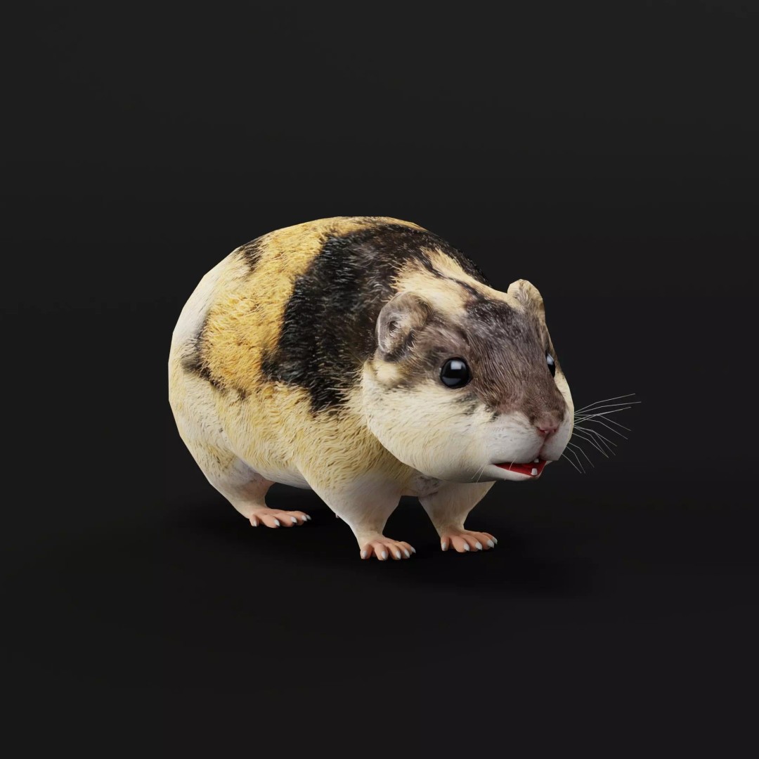 Lemming 3D Model – Low Poly Game Ready Rodent with Animations - View 14