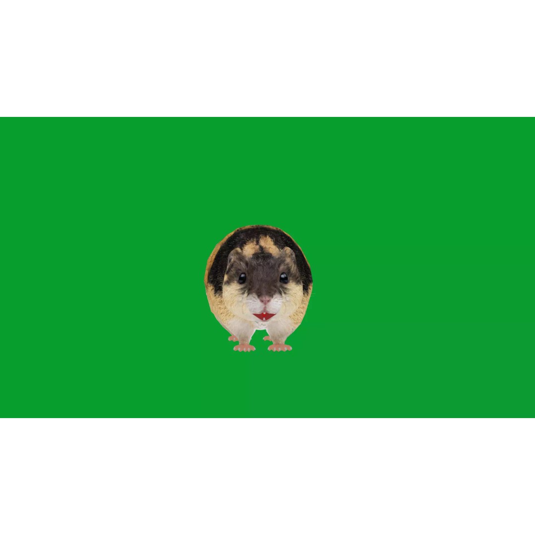 Lemming 3D Model – Low Poly Game Ready Rodent with Animations - View 17