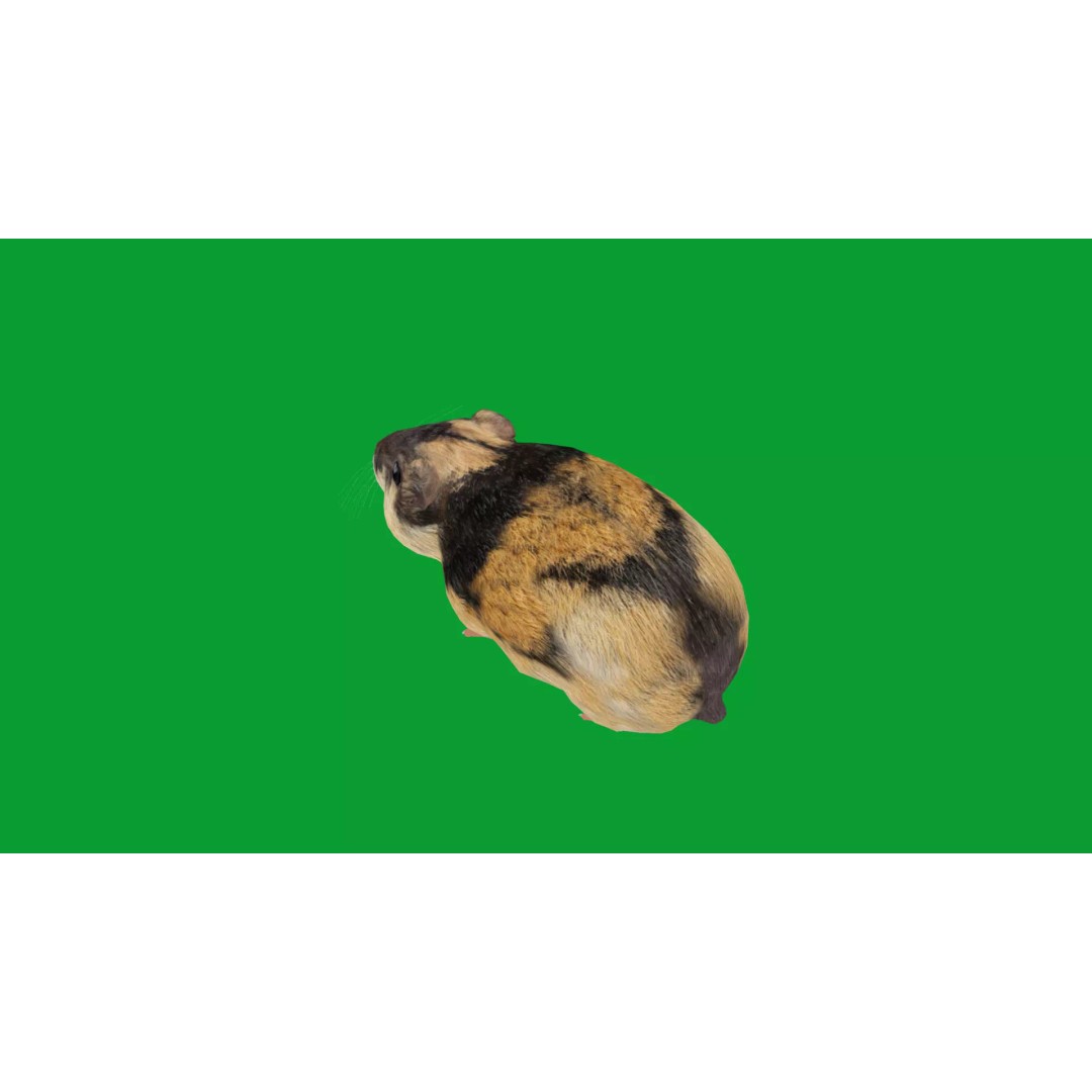 Lemming 3D Model – Low Poly Game Ready Rodent with Animations - View 18