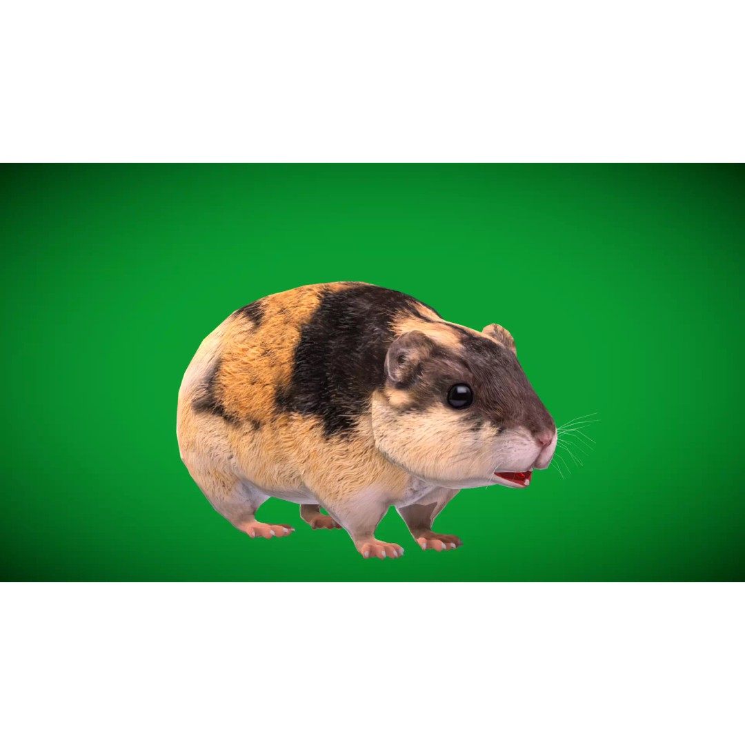 Lemming 3D Model – Low Poly Game Ready Rodent with Animations - View 2