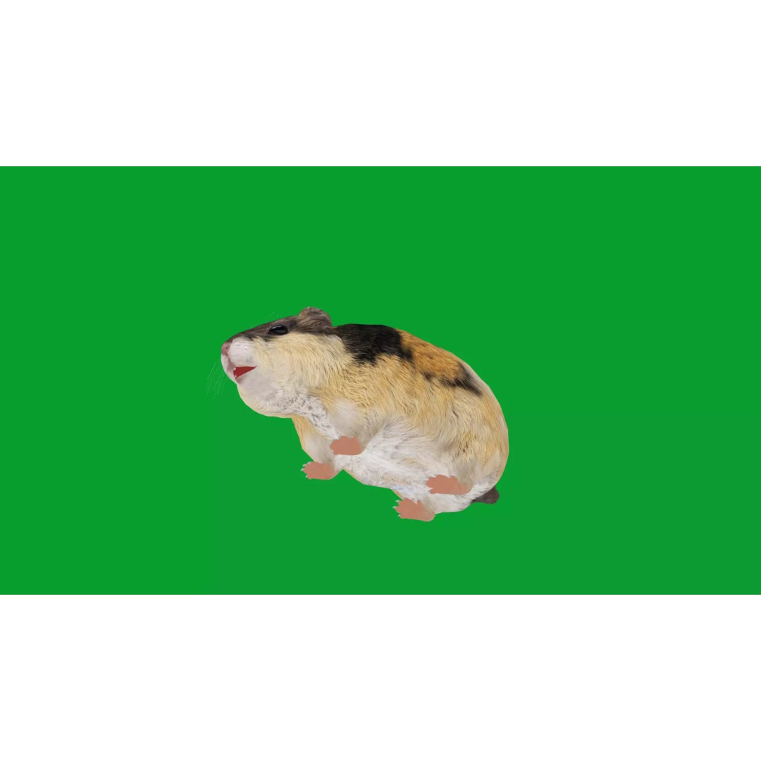 Lemming 3D Model – Low Poly Game Ready Rodent with Animations - View 21