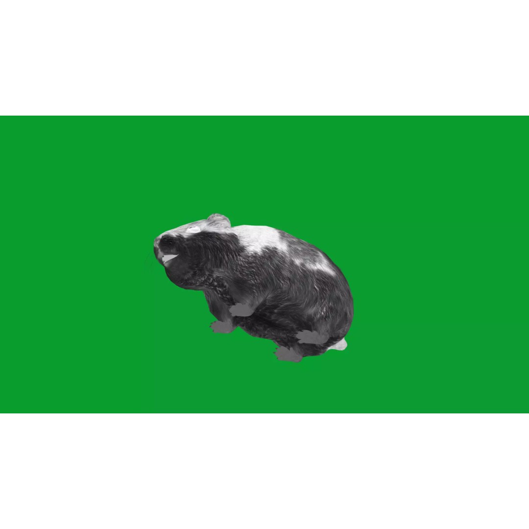 Lemming 3D Model – Low Poly Game Ready Rodent with Animations - View 25