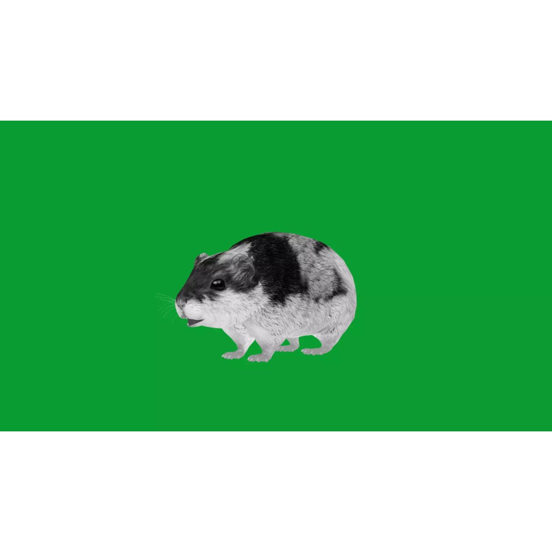 Lemming 3D Model – Low Poly Game Ready Rodent with Animations - View 29
