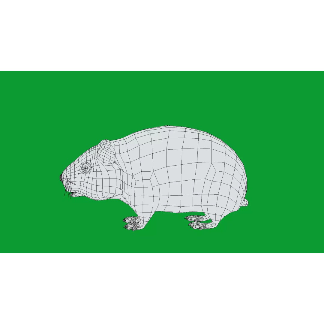 Lemming 3D Model – Low Poly Game Ready Rodent with Animations - View 34