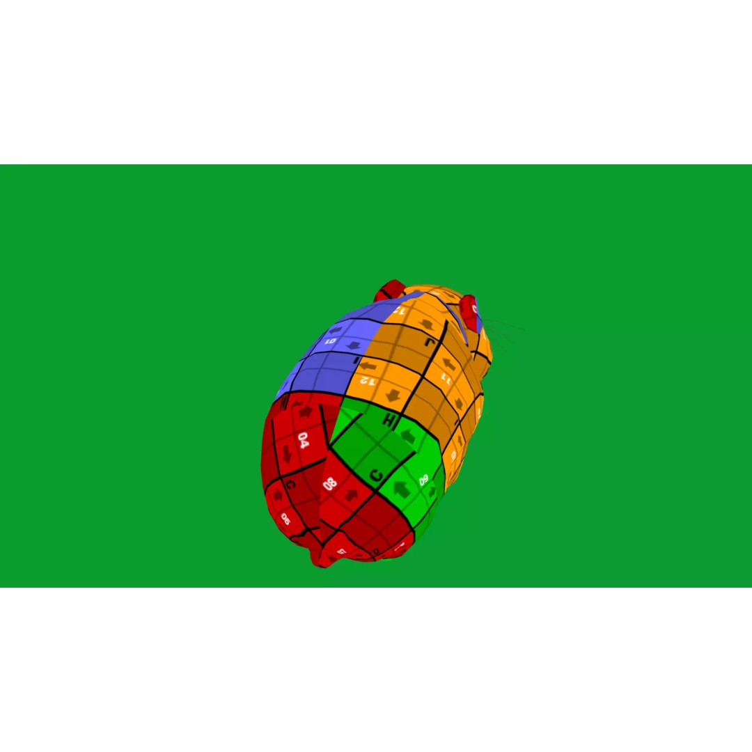 Lemming 3D Model – Low Poly Game Ready Rodent with Animations - View 37