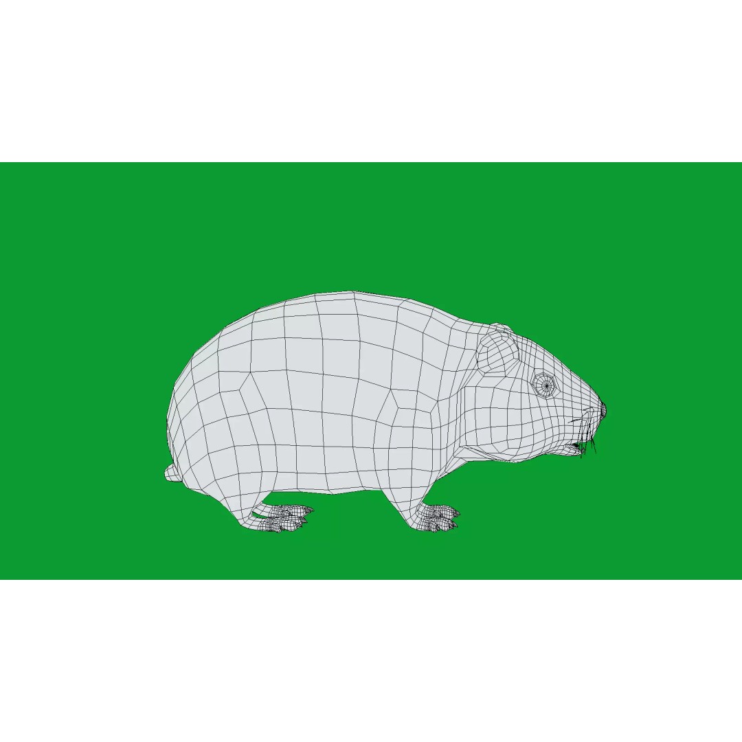 Lemming 3D Model – Low Poly Game Ready Rodent with Animations - View 38