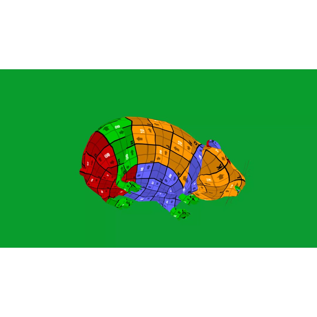 Lemming 3D Model – Low Poly Game Ready Rodent with Animations - View 39