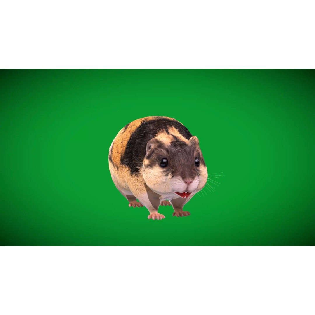 Lemming 3D Model – Low Poly Game Ready Rodent with Animations - View 43