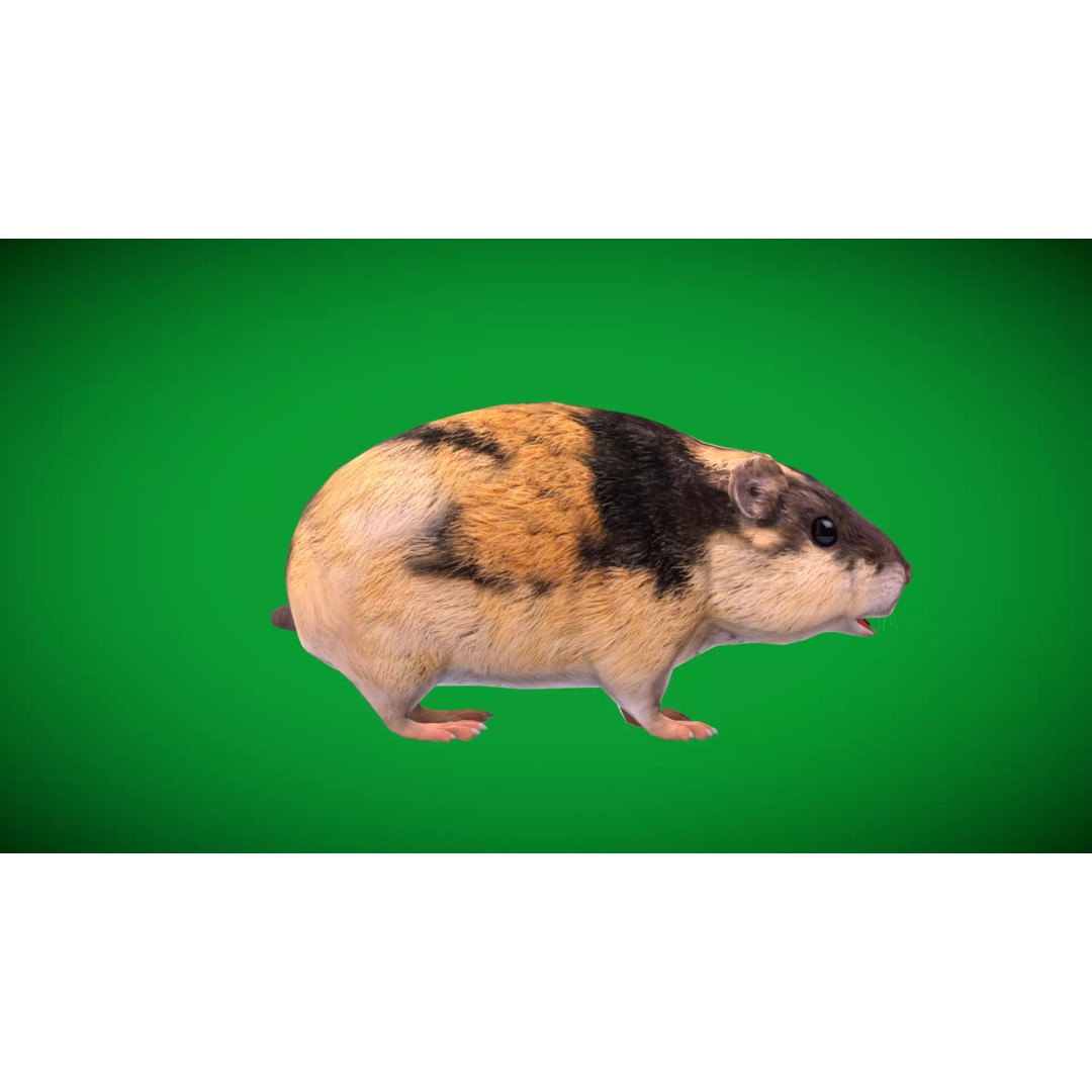 Lemming 3D Model – Low Poly Game Ready Rodent with Animations - View 44