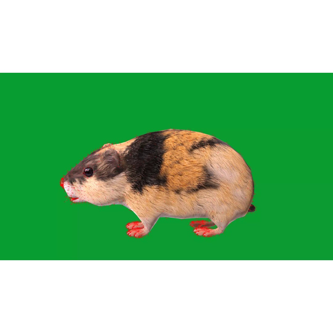 Lemming 3D Model – Low Poly Game Ready Rodent with Animations - View 45