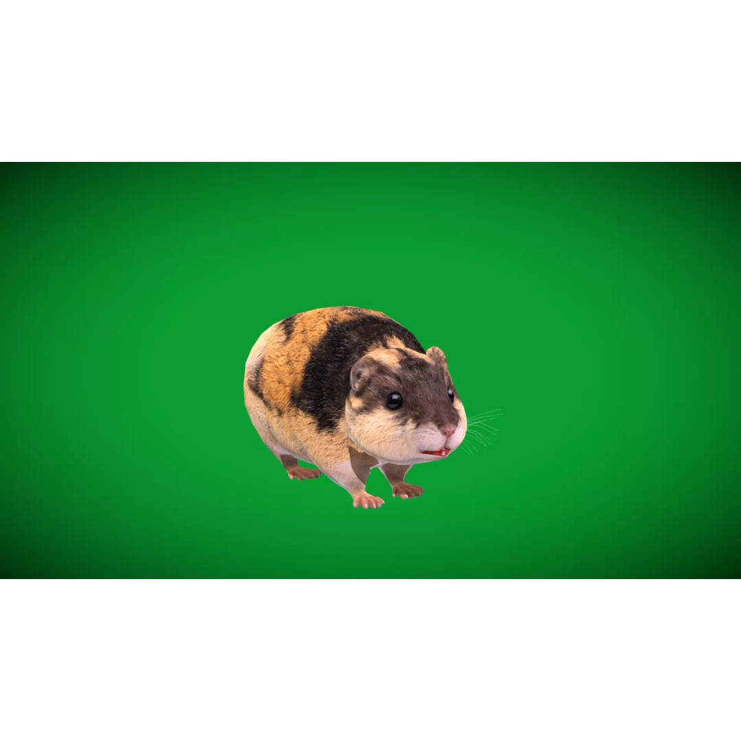 Lemming 3D Model – Low Poly Game Ready Rodent with Animations - View 46