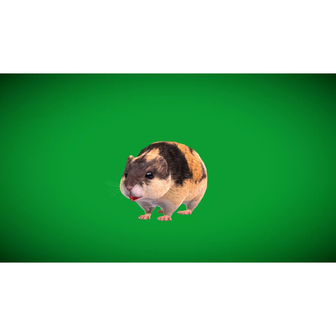 Lemming 3D Model – Low Poly Game Ready Rodent with Animations - View 47