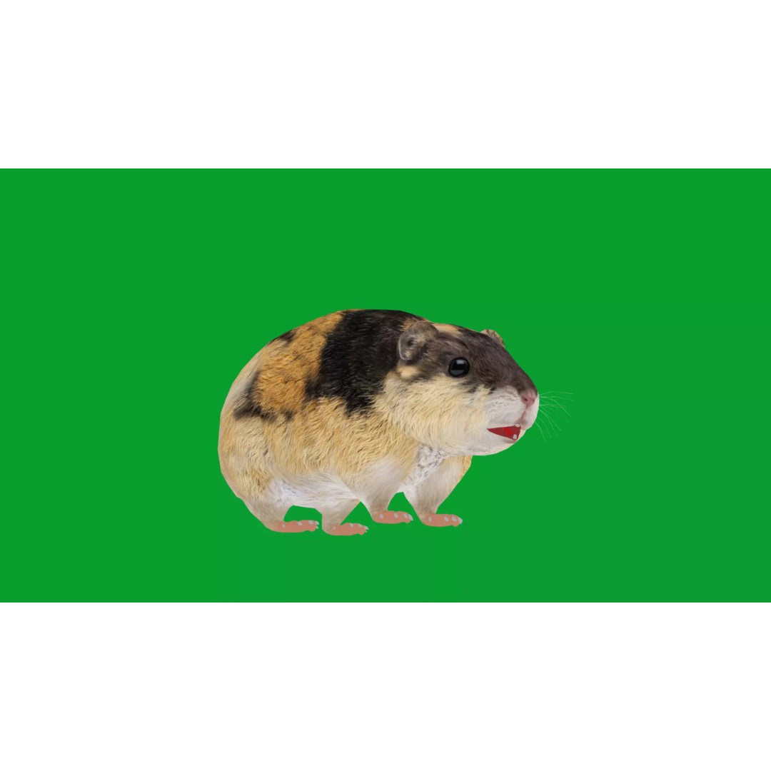 Lemming 3D Model – Low Poly Game Ready Rodent with Animations - View 5