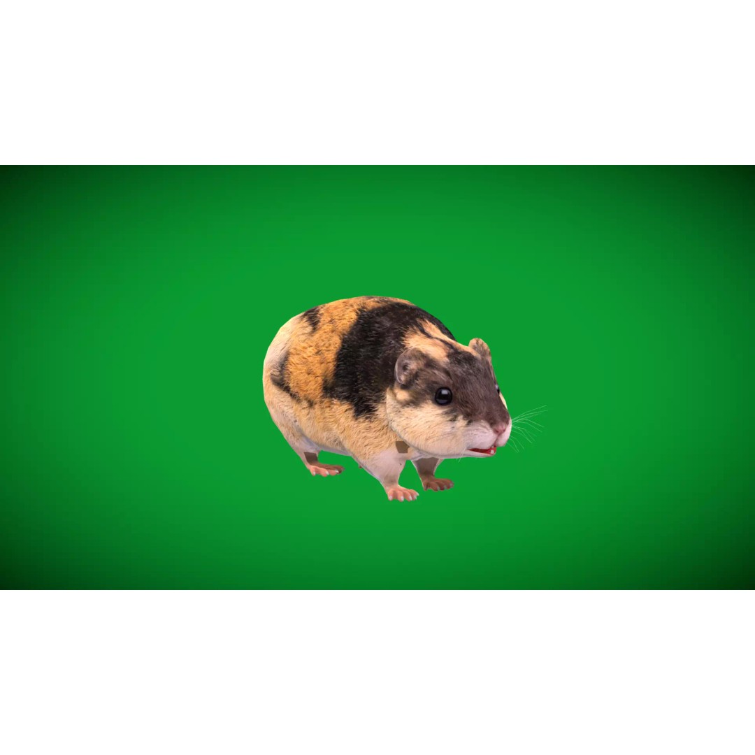 Lemming 3D Model – Low Poly Game Ready Rodent with Animations - View 6