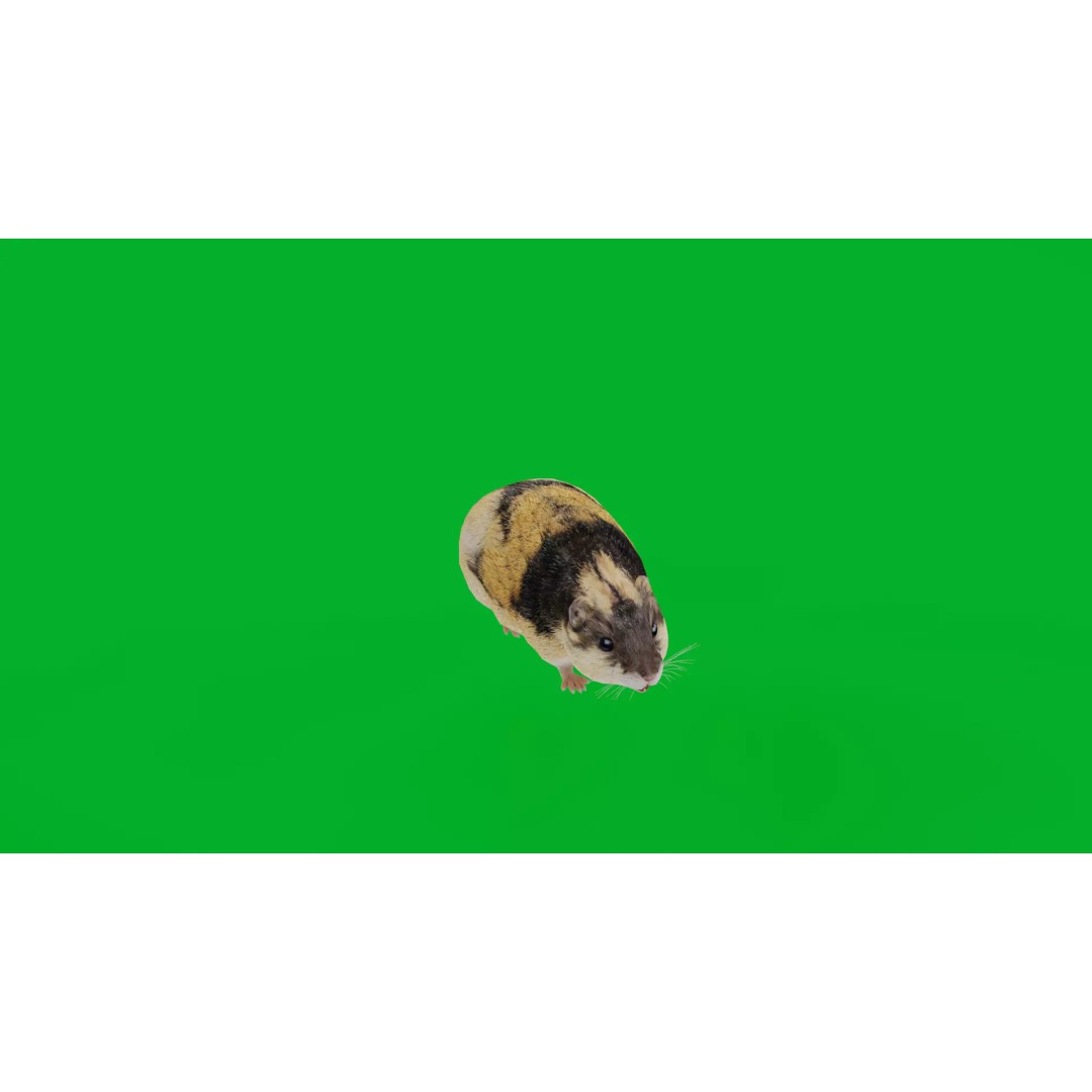 Lemming 3D Model – Low Poly Game Ready Rodent with Animations - View 8