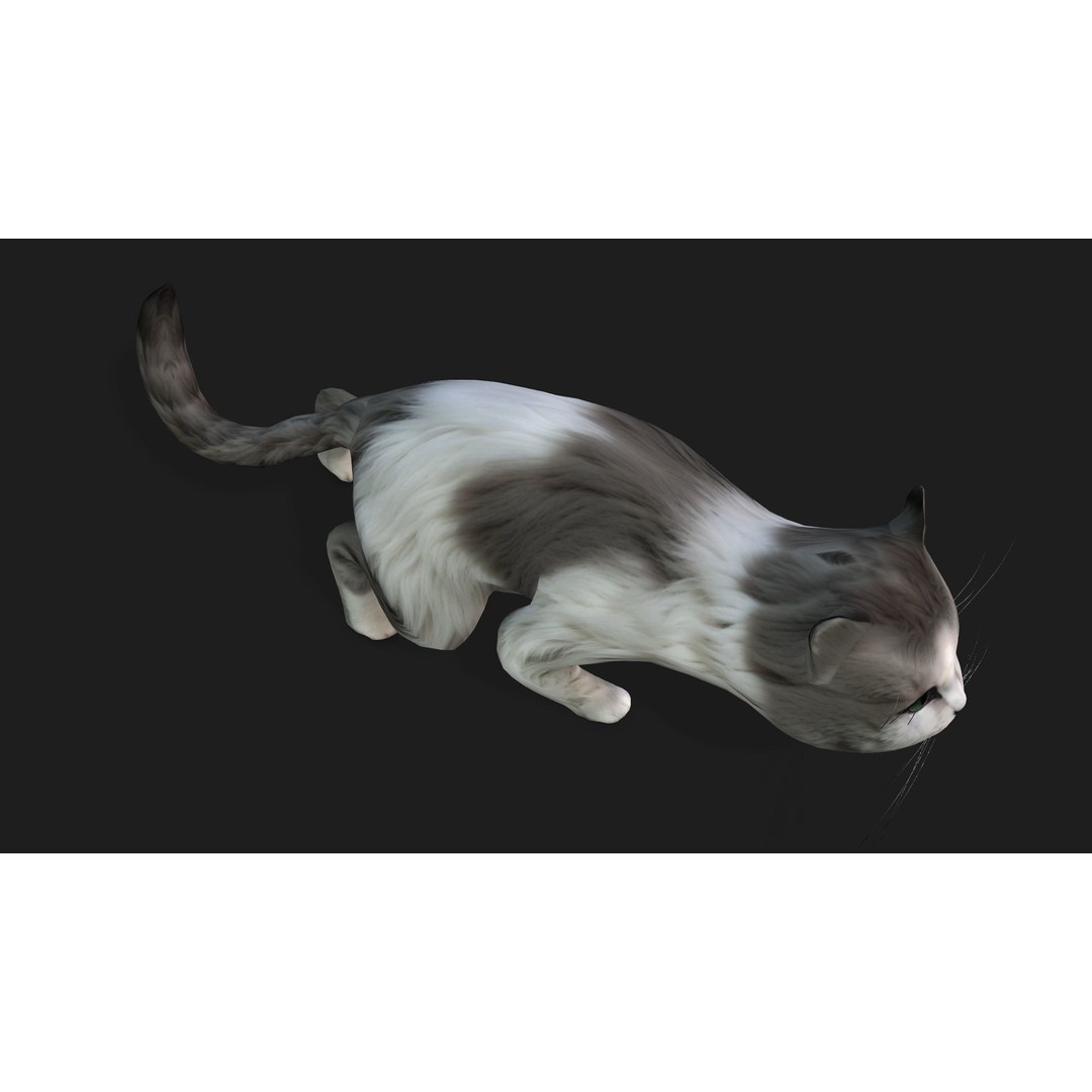Cat 3D Model – Rigged Animal Animation with PBR Textures, FBX - View 10