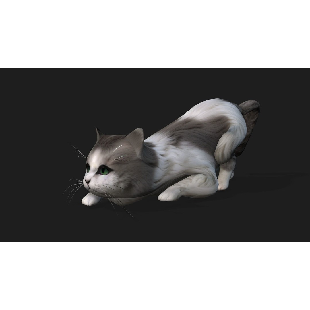 Cat 3D Model – Rigged Animal Animation with PBR Textures, FBX - View 12