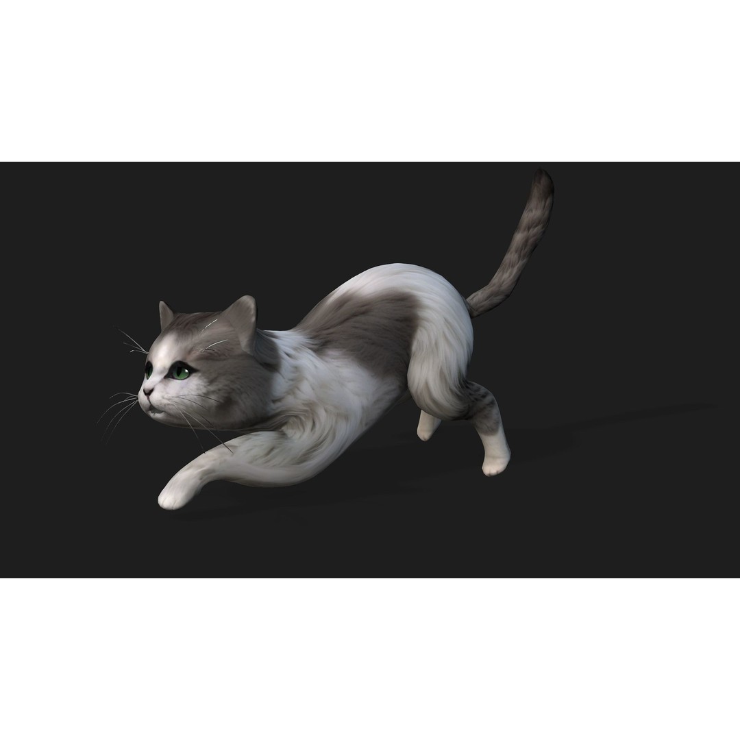 Cat 3D Model – Rigged Animal Animation with PBR Textures, FBX - View 13