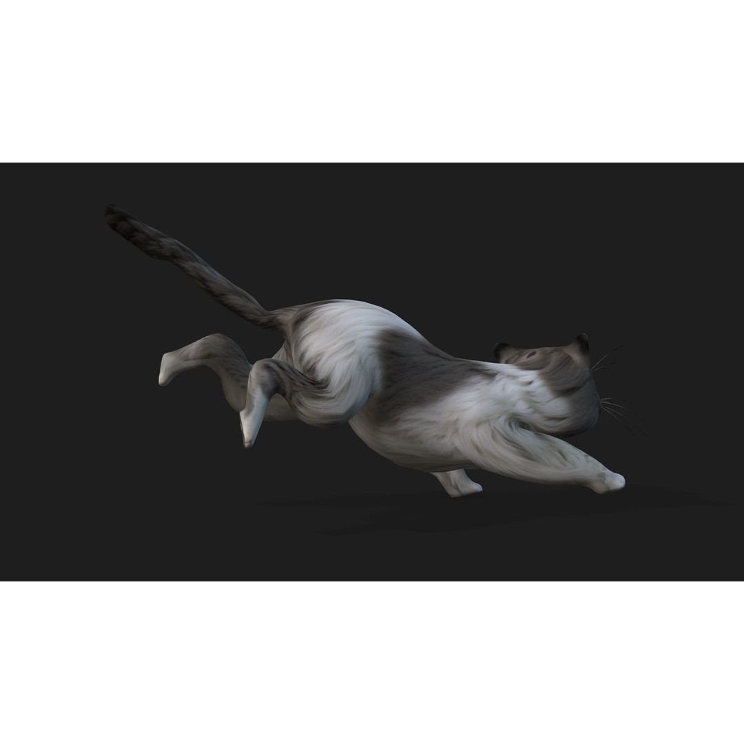 Cat 3D Model – Rigged Animal Animation with PBR Textures, FBX - View 14