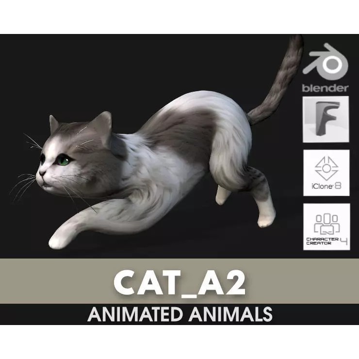 Cat 3D Model – Rigged Animal Animation with PBR Textures, FBX - View 2