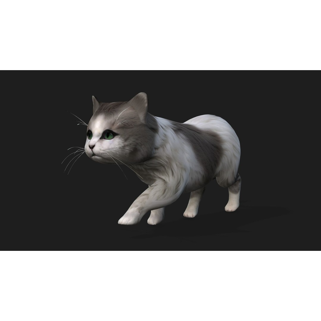 Cat 3D Model – Rigged Animal Animation with PBR Textures, FBX - View 3