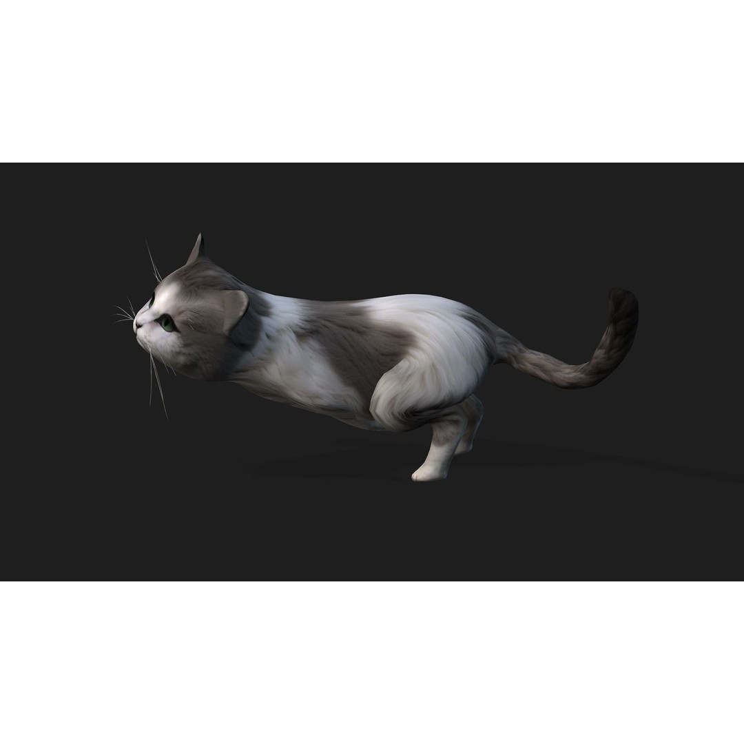Cat 3D Model – Rigged Animal Animation with PBR Textures, FBX - View 4