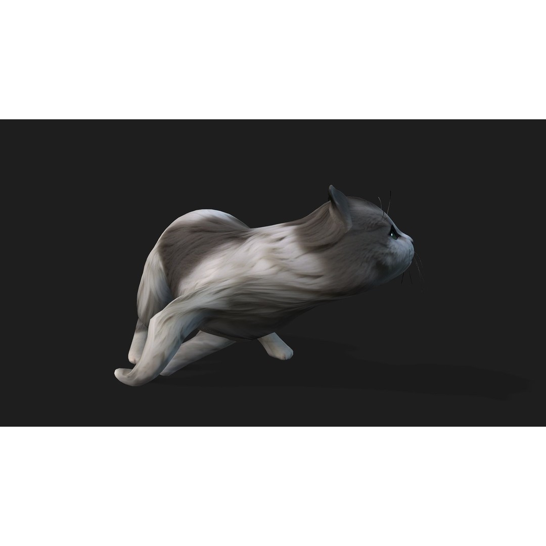 Cat 3D Model – Rigged Animal Animation with PBR Textures, FBX - View 5