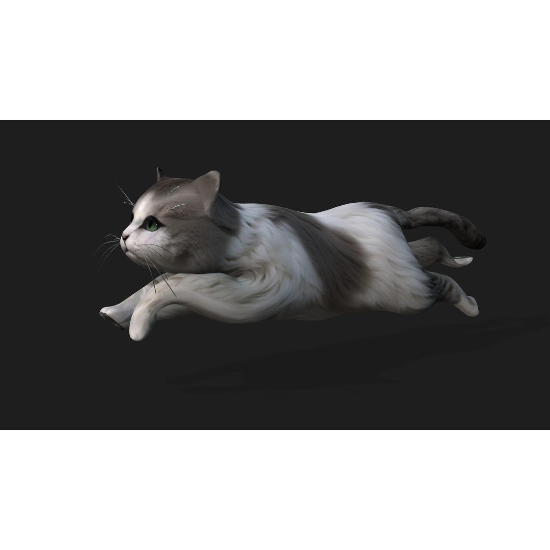 Cat 3D Model – Rigged Animal Animation with PBR Textures, FBX - View 6