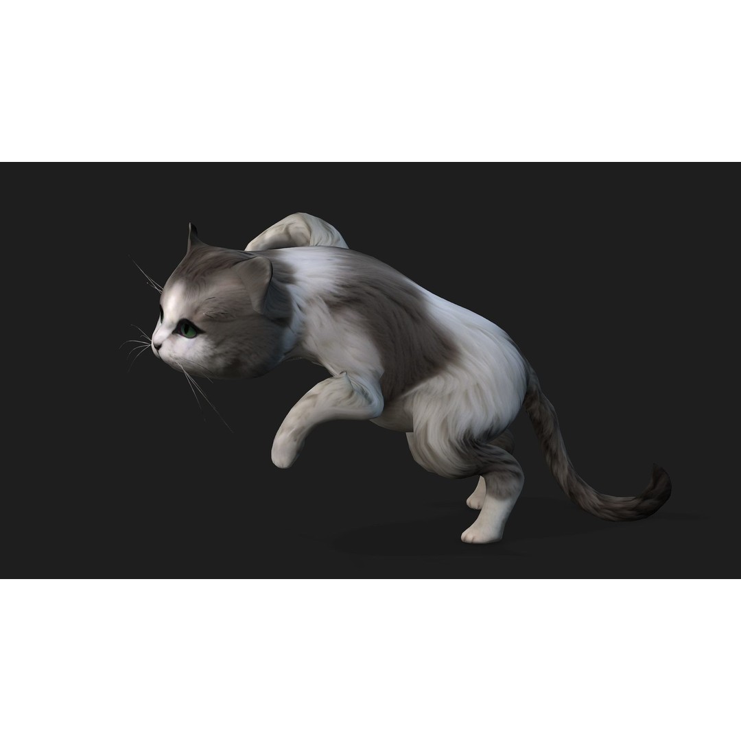 Cat 3D Model – Rigged Animal Animation with PBR Textures, FBX - View 8