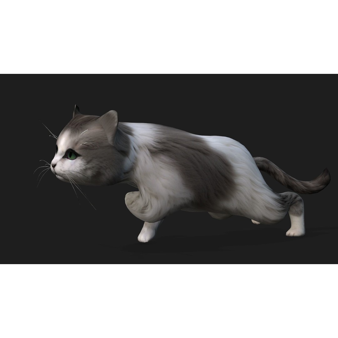Cat 3D Model – Rigged Animal Animation with PBR Textures, FBX - View 9