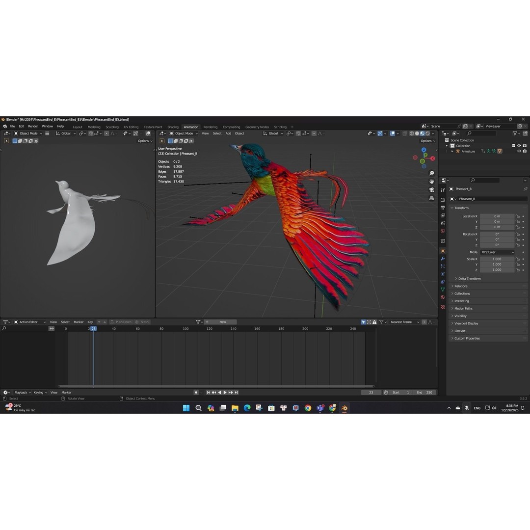 Pheasant Bird 3D Model – Rigged Animated Asset with PBR Textures