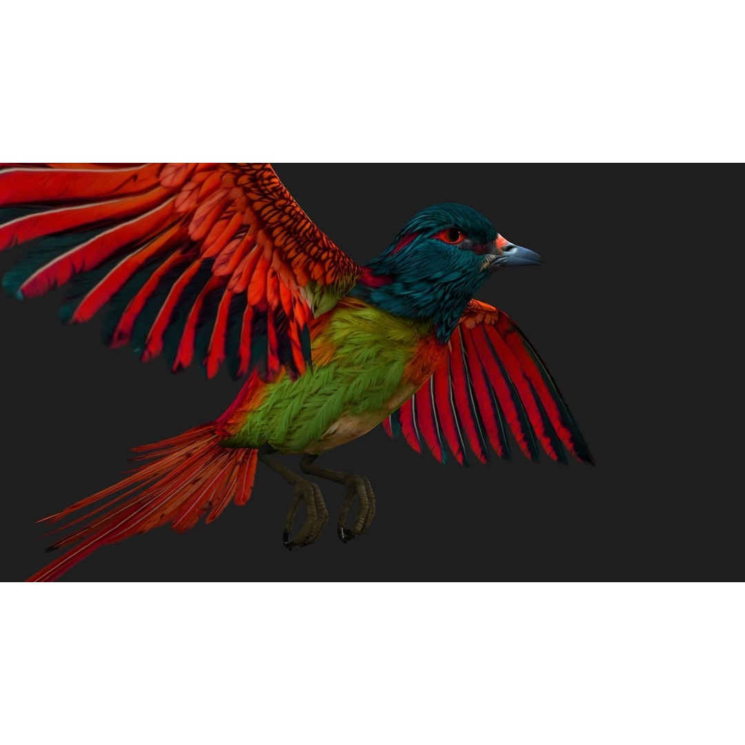Pheasant Bird 3D Model – Rigged Animated Asset with PBR Textures - View 10
