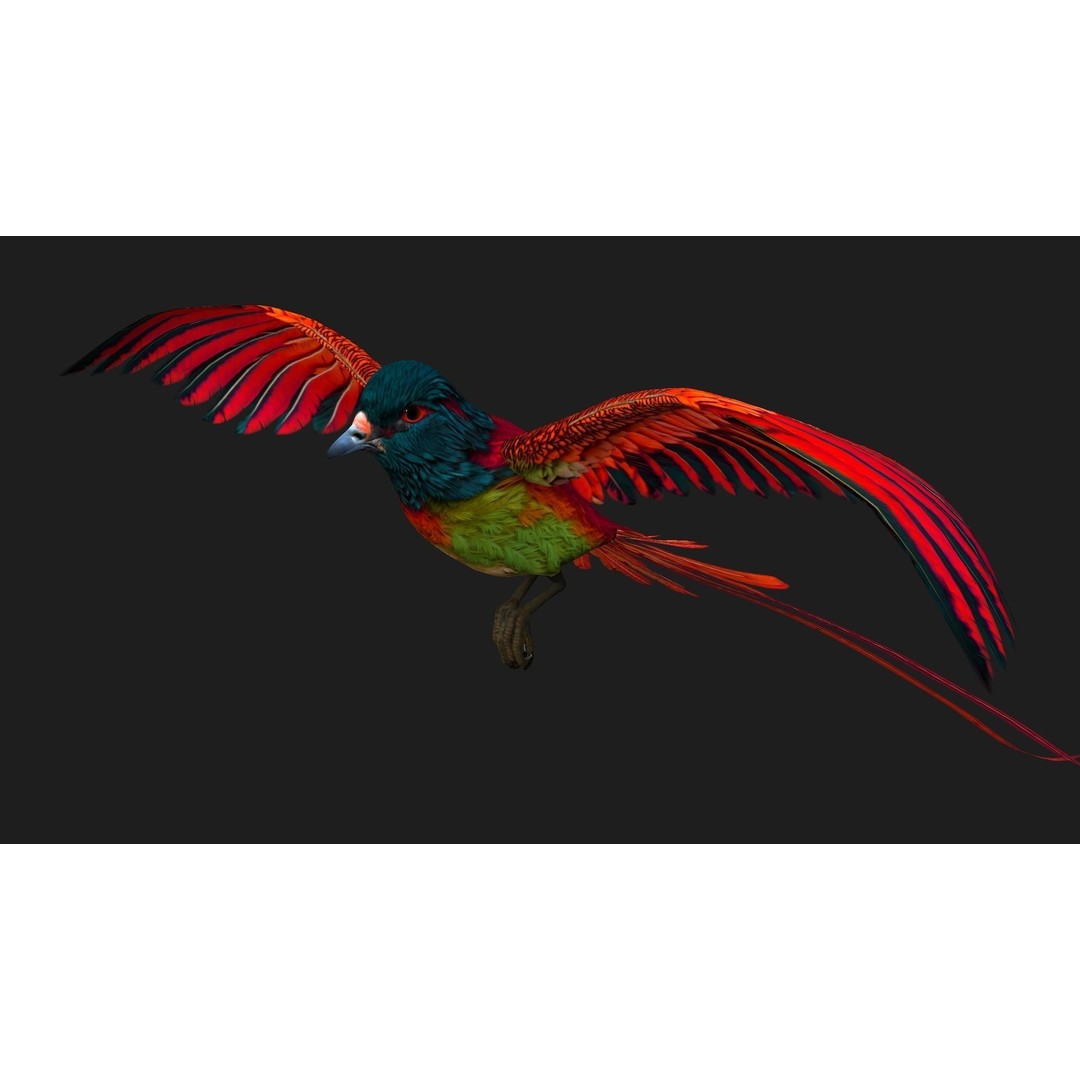 Pheasant Bird 3D Model – Rigged Animated Asset with PBR Textures - View 11