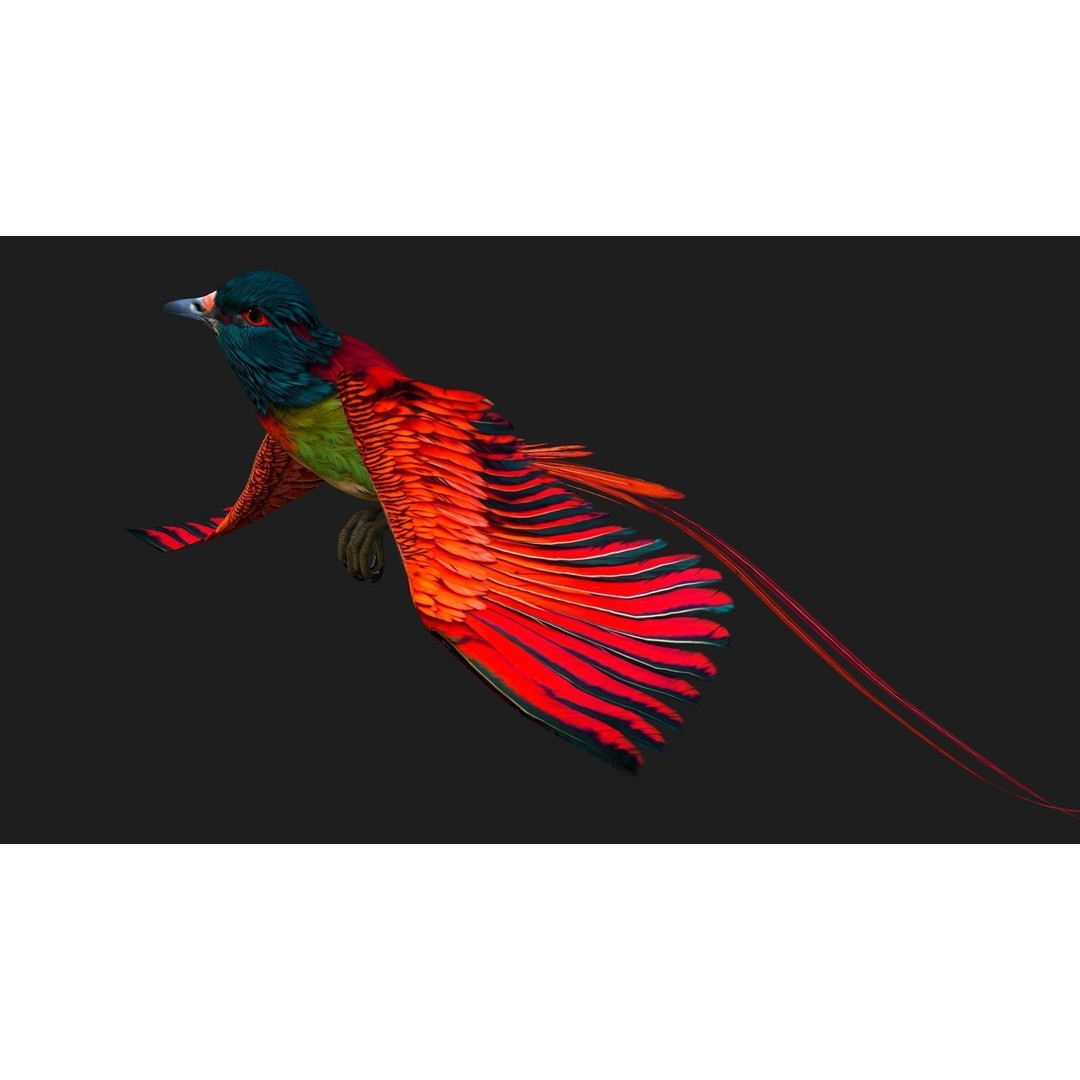 Pheasant Bird 3D Model – Rigged Animated Asset with PBR Textures - View 12