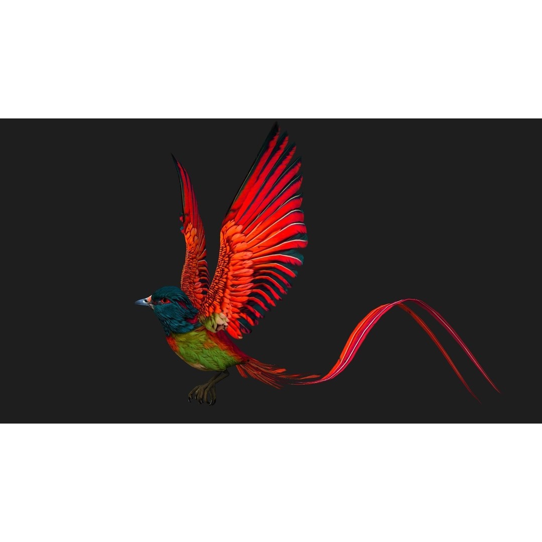 Pheasant Bird 3D Model – Rigged Animated Asset with PBR Textures - View 13