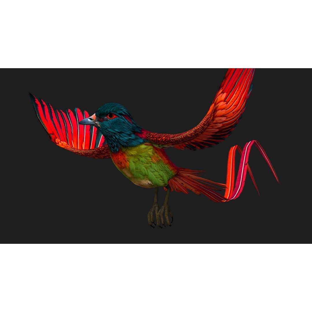 Pheasant Bird 3D Model – Rigged Animated Asset with PBR Textures - View 14