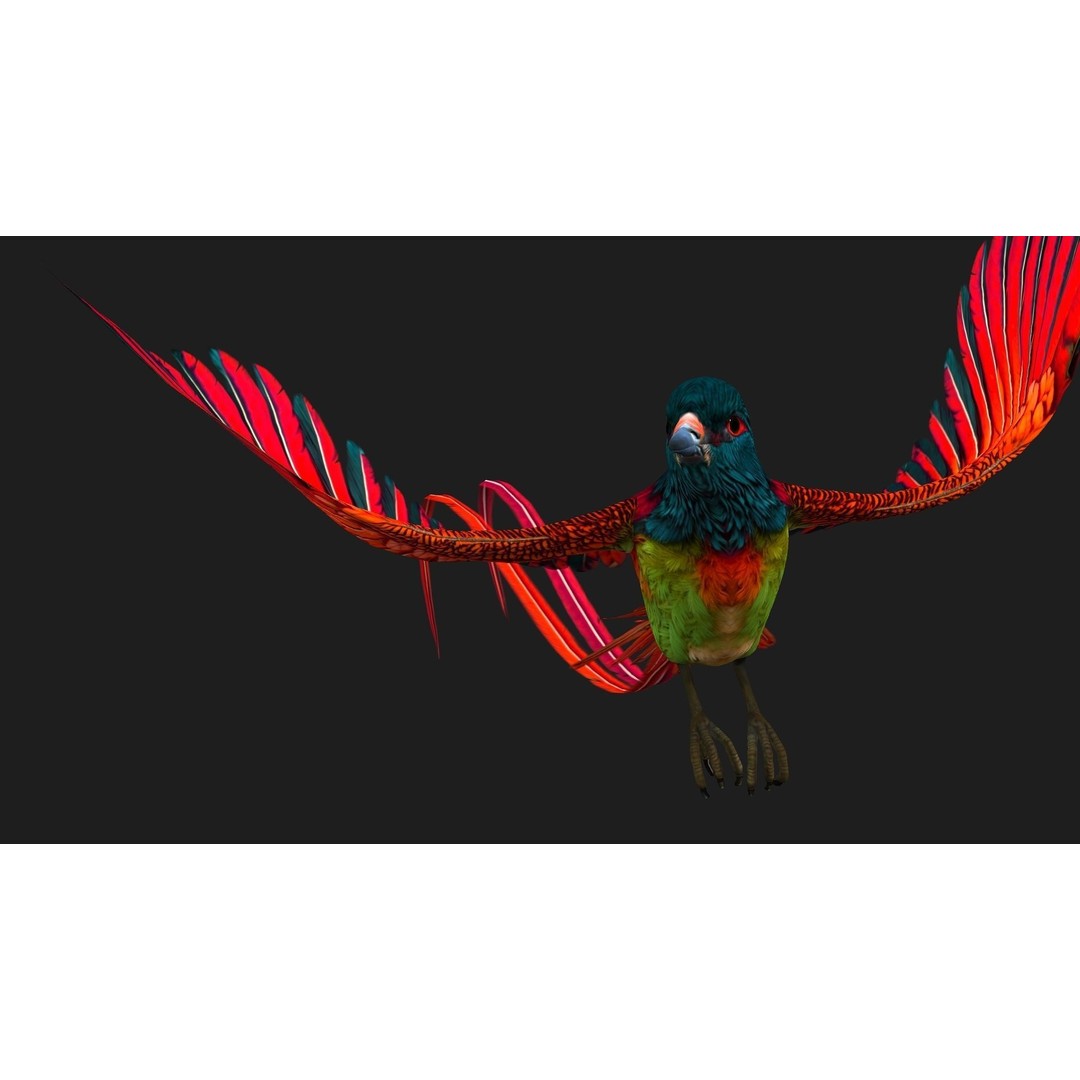 Pheasant Bird 3D Model – Rigged Animated Asset with PBR Textures - View 15