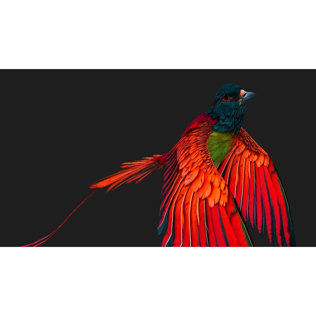 Pheasant Bird 3D Model – Rigged Animated Asset with PBR Textures - View 16