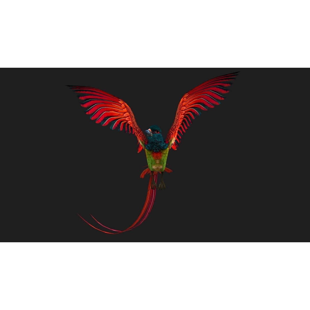 Pheasant Bird 3D Model – Rigged Animated Asset with PBR Textures - View 17